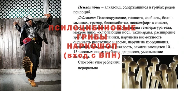 ECSTASY Баксан
